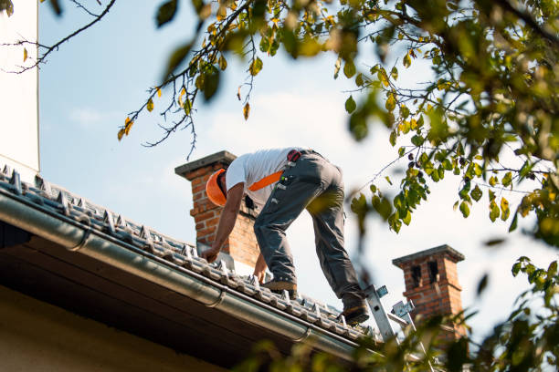 Best Rubber Roofing (EPDM, TPO)  in Bangor, WI